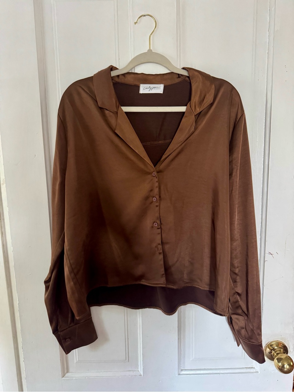 Carly Jean Los Angeles Brown Satin Button-Down Blouse